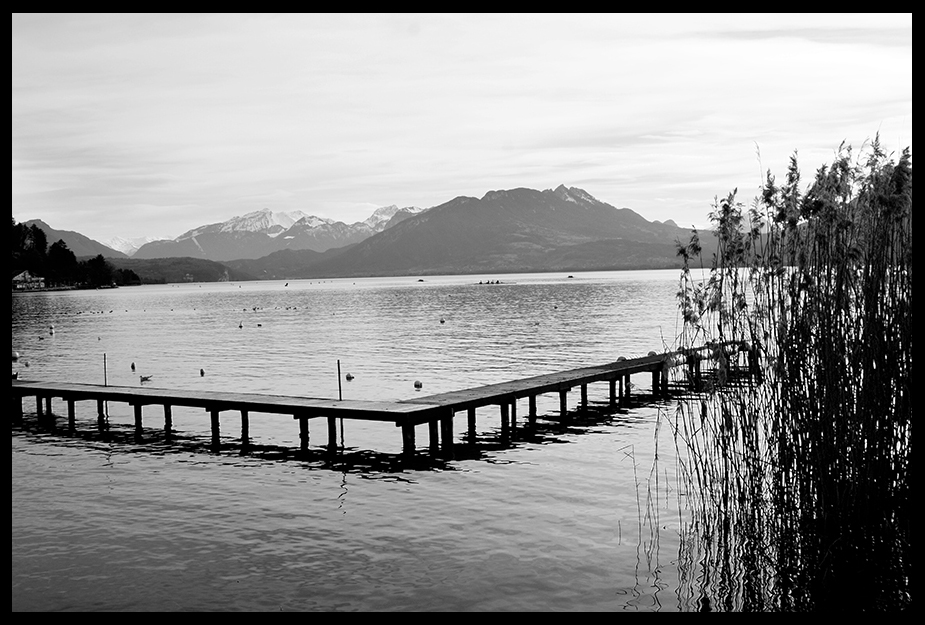 lac, annecy, haute savoie, 74, eau, roseaux, montagne, reflets, ondulations, noir et blanc, photo, photos, photographie, photographies