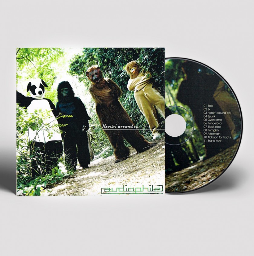 Audiophile, pochette, cd, animaux, costume, déguisements animaux, foret, musique, groupe, album, panda, gorille, ours, lion